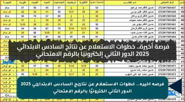 فرصة أخيرة.. خطوات الاستعلام عن نتائج السادس الابتدائي 2025 الدور الثاني إلكترونيًا بالرقم الامتحاني